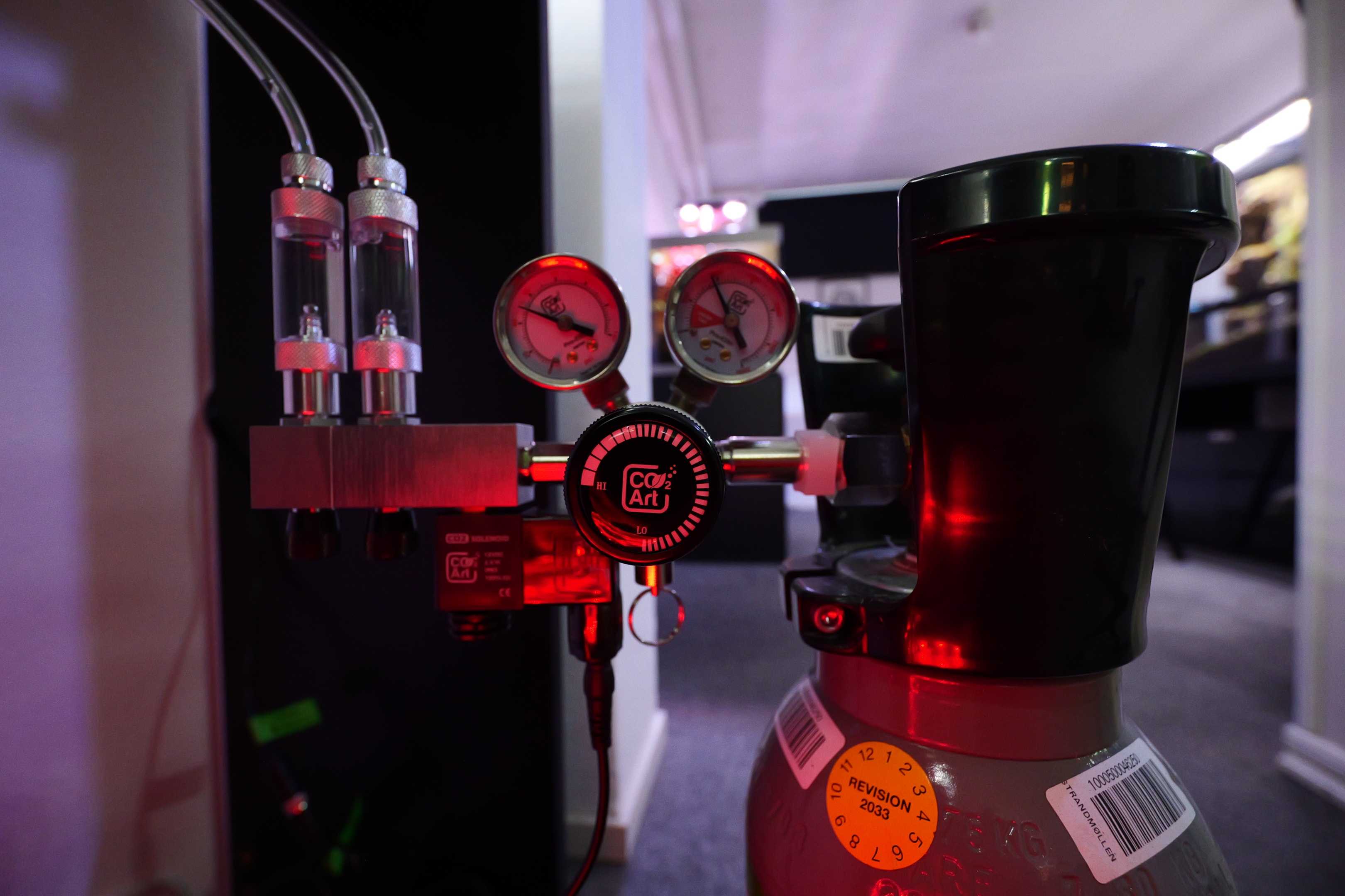 Introducing CO2 into a planted setup can dramatically improve  plants development