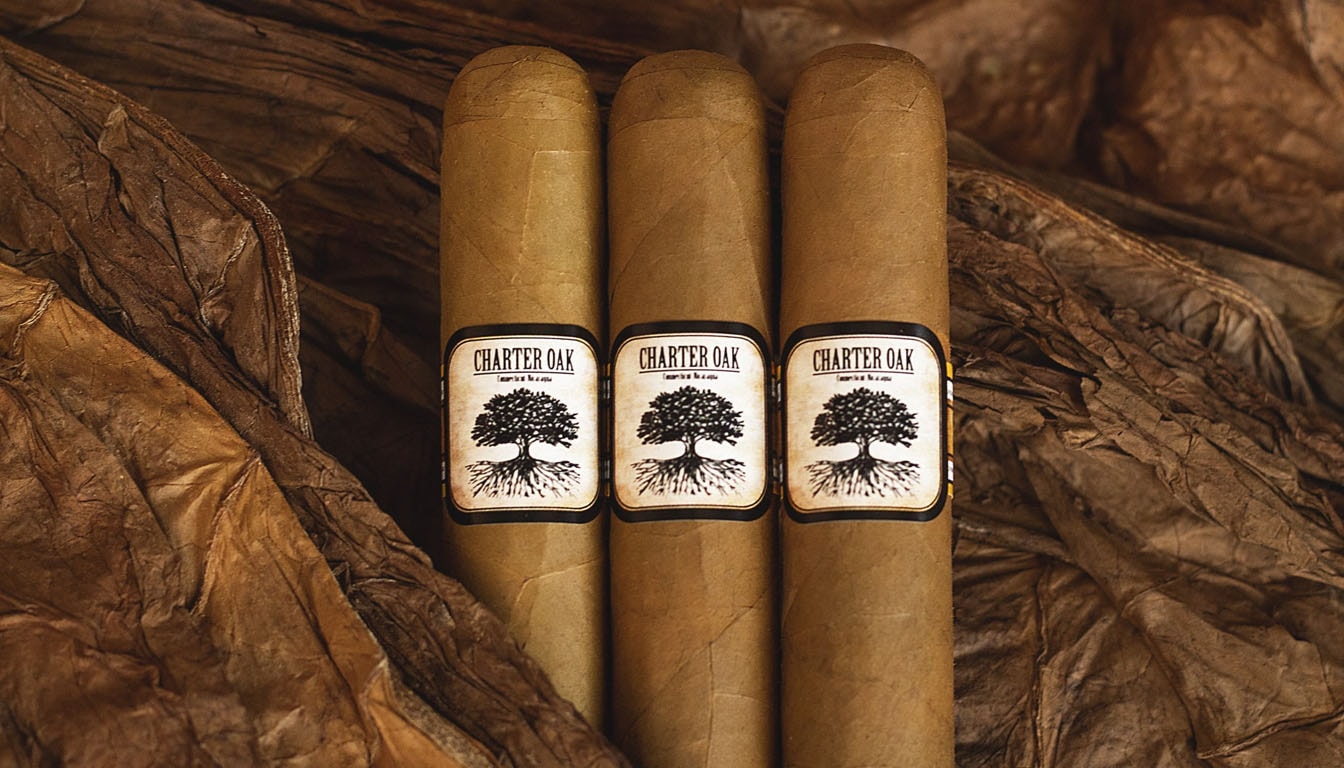 Charter Oak CT Shade cigars arranged elegantly, emphasizing their light color and smooth appearance.