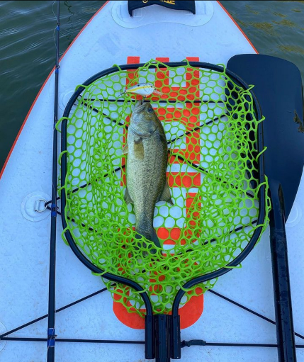 Landing Fish While SUP Fishing: Tips and Techniques.