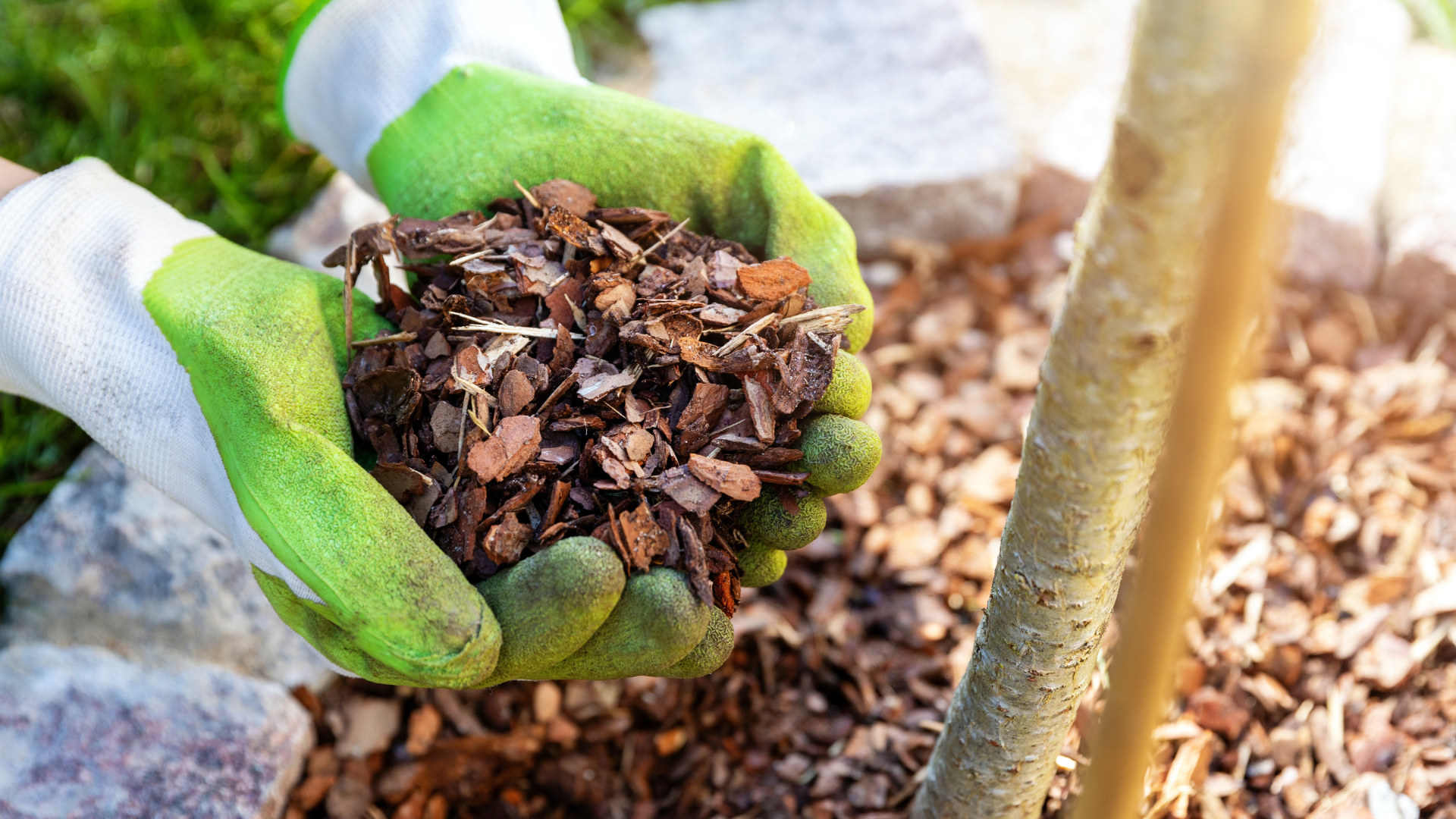A healthy wood mulch, made of bark mulch and designed to help retain moisture and suppress weed growth.