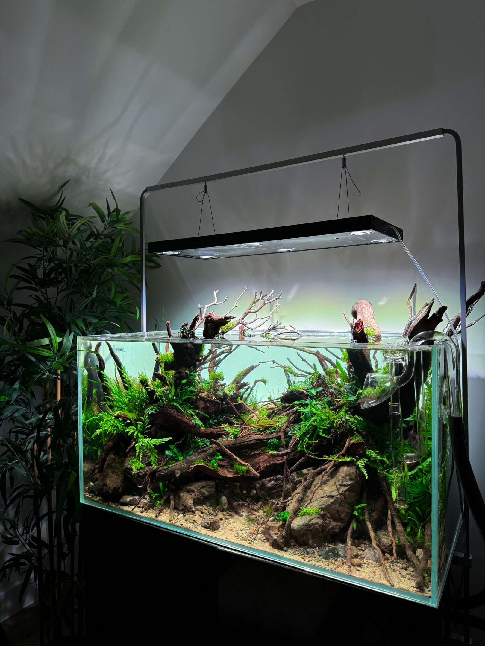You can use light creatively to enhance your tank