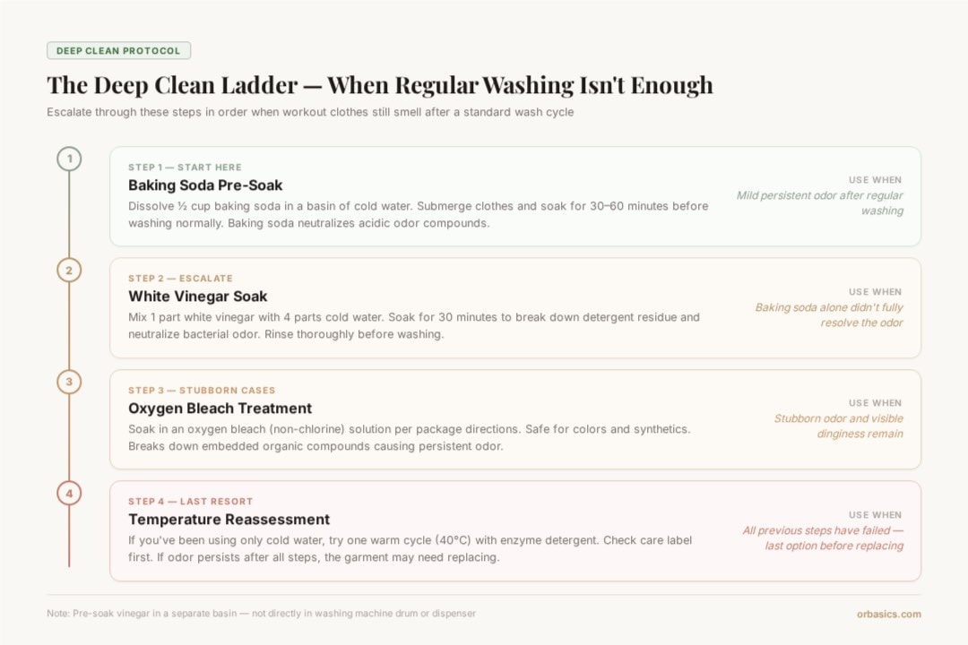 the deep clean laddder