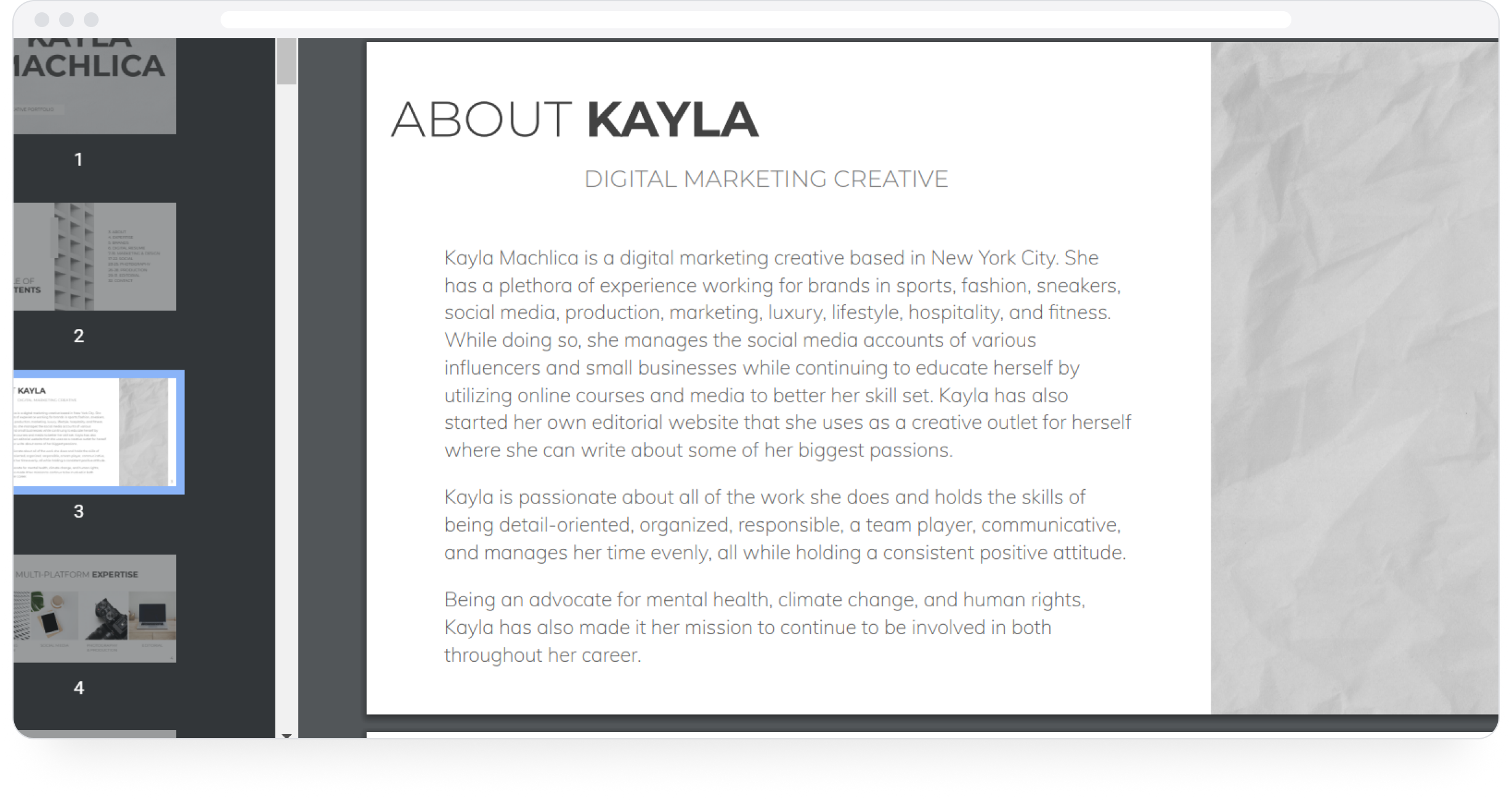 Social Media Portfolio Examples (PDF) To Inspire You