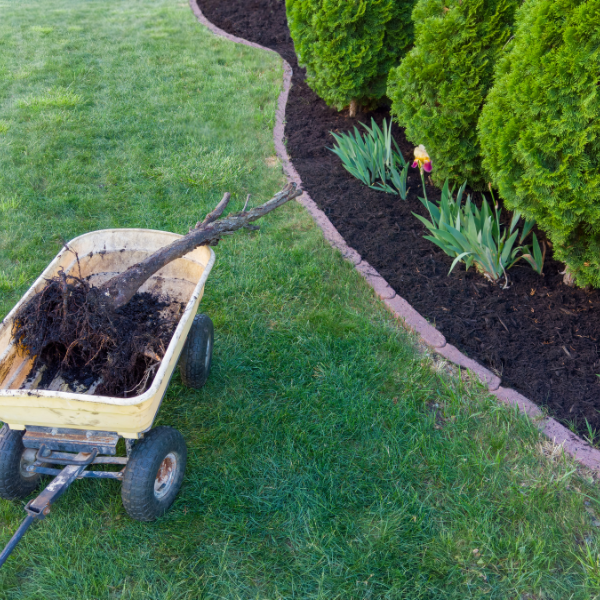 Picture of a golf course with removed trees to eliminate obstacles from tree removal services.