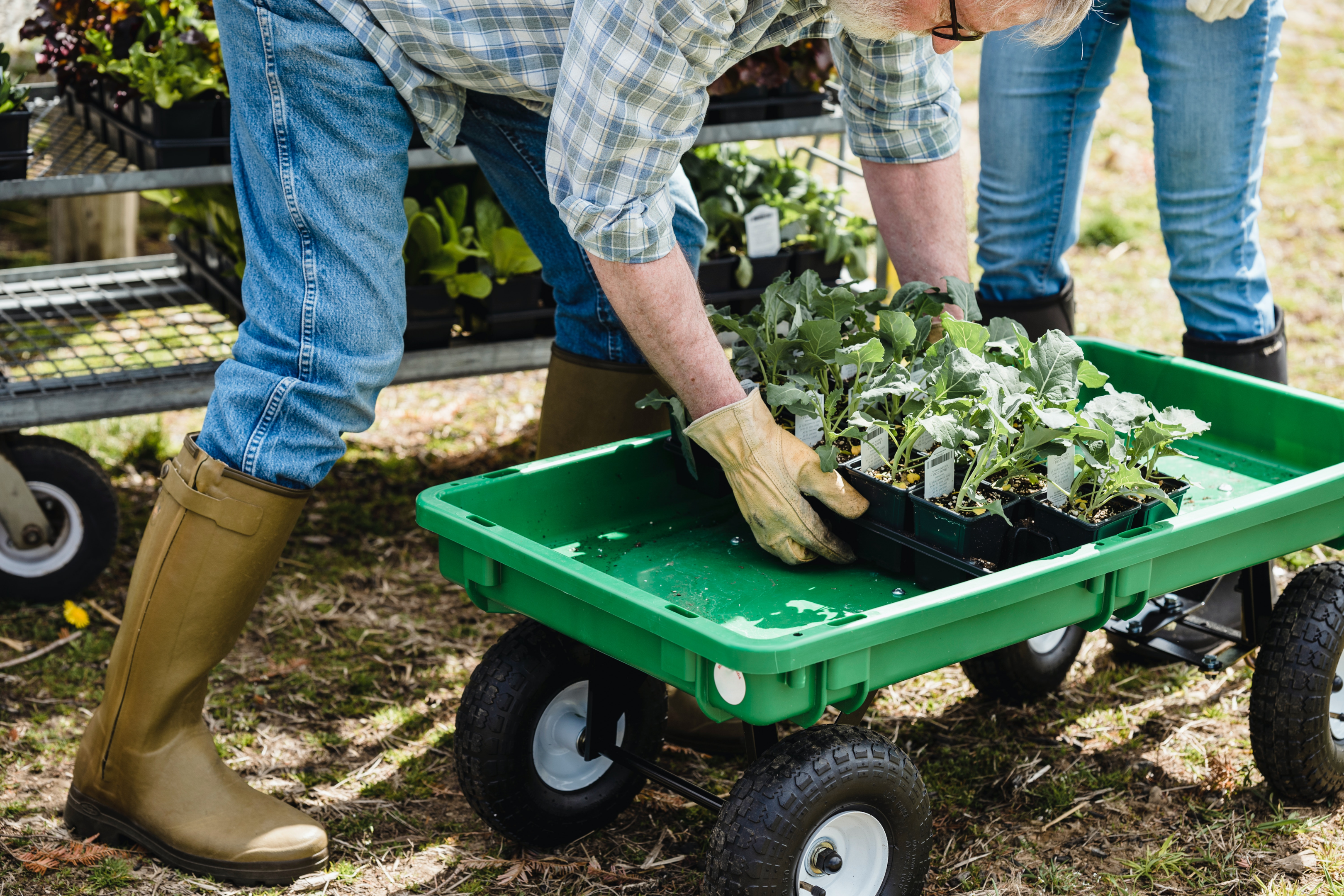 There are Many Benefits to Growing Our Own Food and Different Kinds of Plants