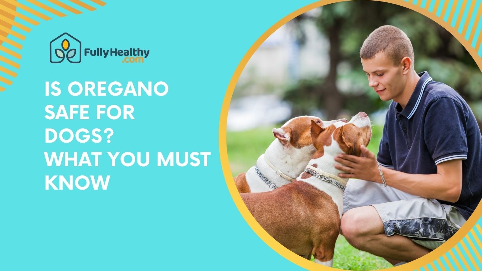 Is Oregano Safe for Dogs? What You Must Know