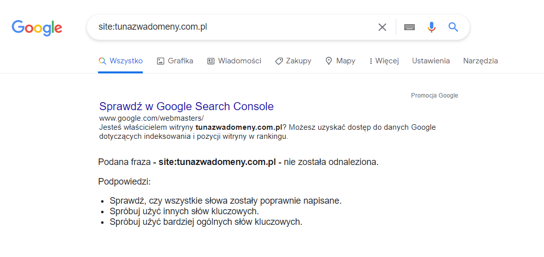 Jak stworzyć stronę z dużym potencjałem SEO?
