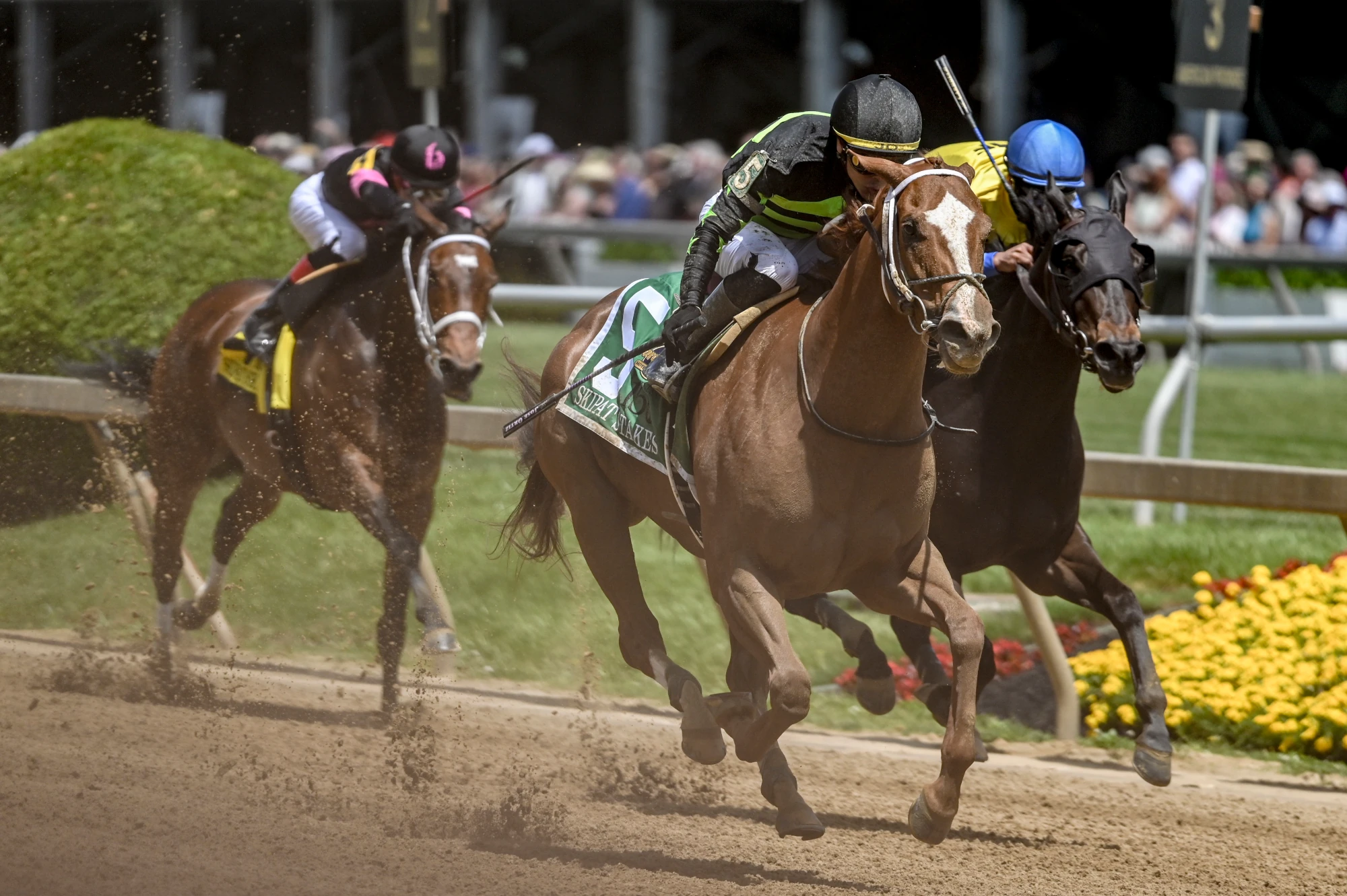 May 17, 2025; Baltimore, Maryland, USA; Somethingwonderful (6) with Jose R. Betancourt up wins the running of the Race 5 - the Allowance.
