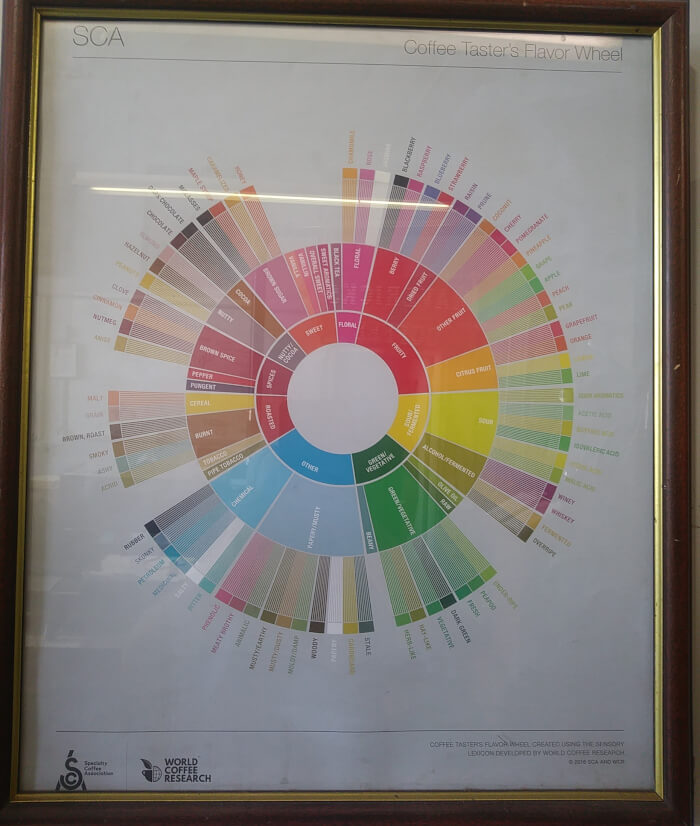 SCA cupping wheel shows fruity coffees in high acidity