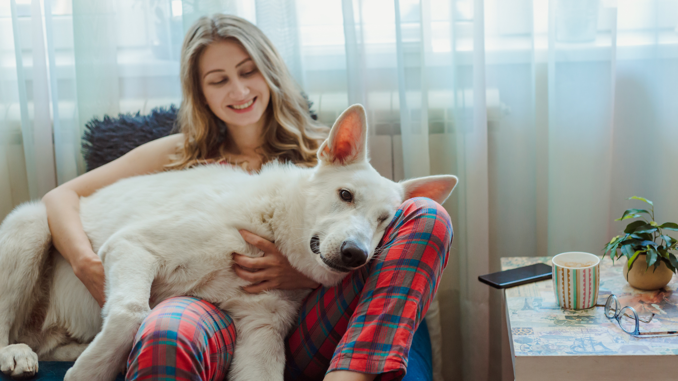 5d2c110f 9c44 4793 b698 0287305e3573 Why Does My Dog Lay On Me?