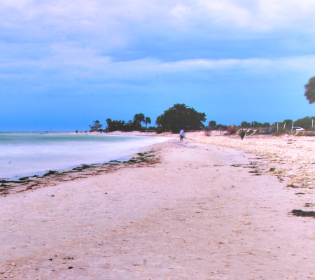 Honeymoon Island State Park