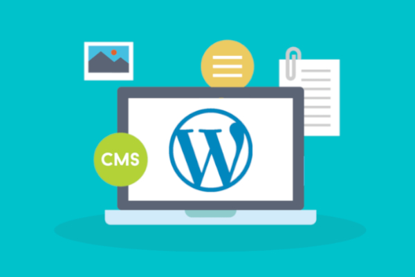 plateforme gestion de contenu WordPress, logiciel open source, article: thème WordPress, problème visiteurs nom de domaine fois ensemble 