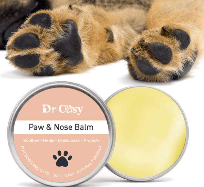 Dog paw next to dog paw balm