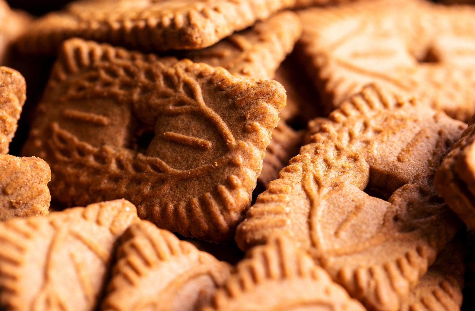 biscoff cookies, speculoos cookie, speculoos, cookie butter, cookie butter ice cream
