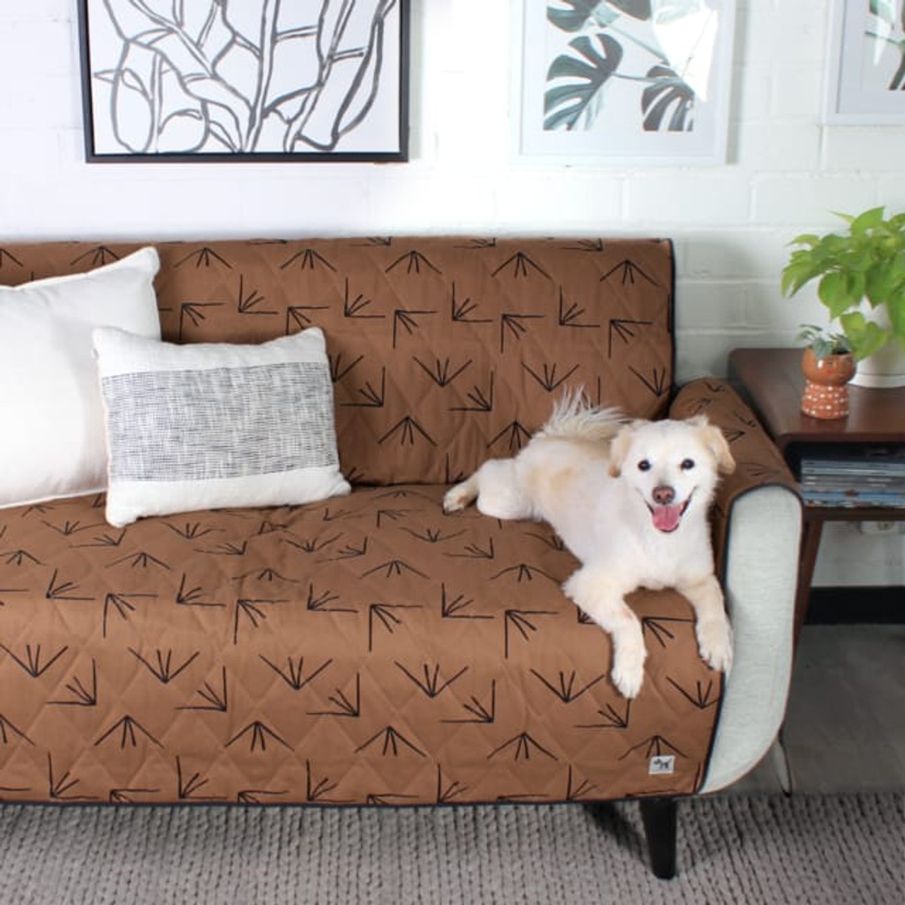 Help Your Dog Adjust to Furniture Covers