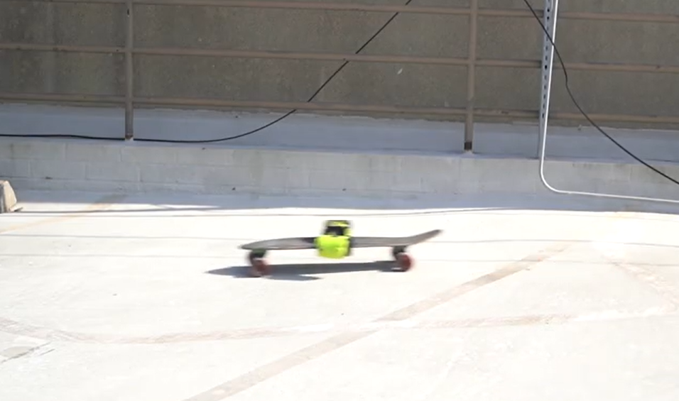Zarimi on a skateboard