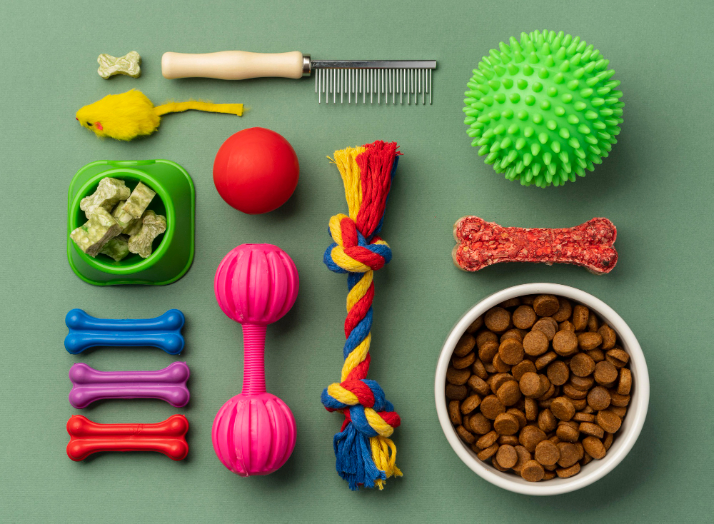 Our Dog's Favorite Fetch Toys