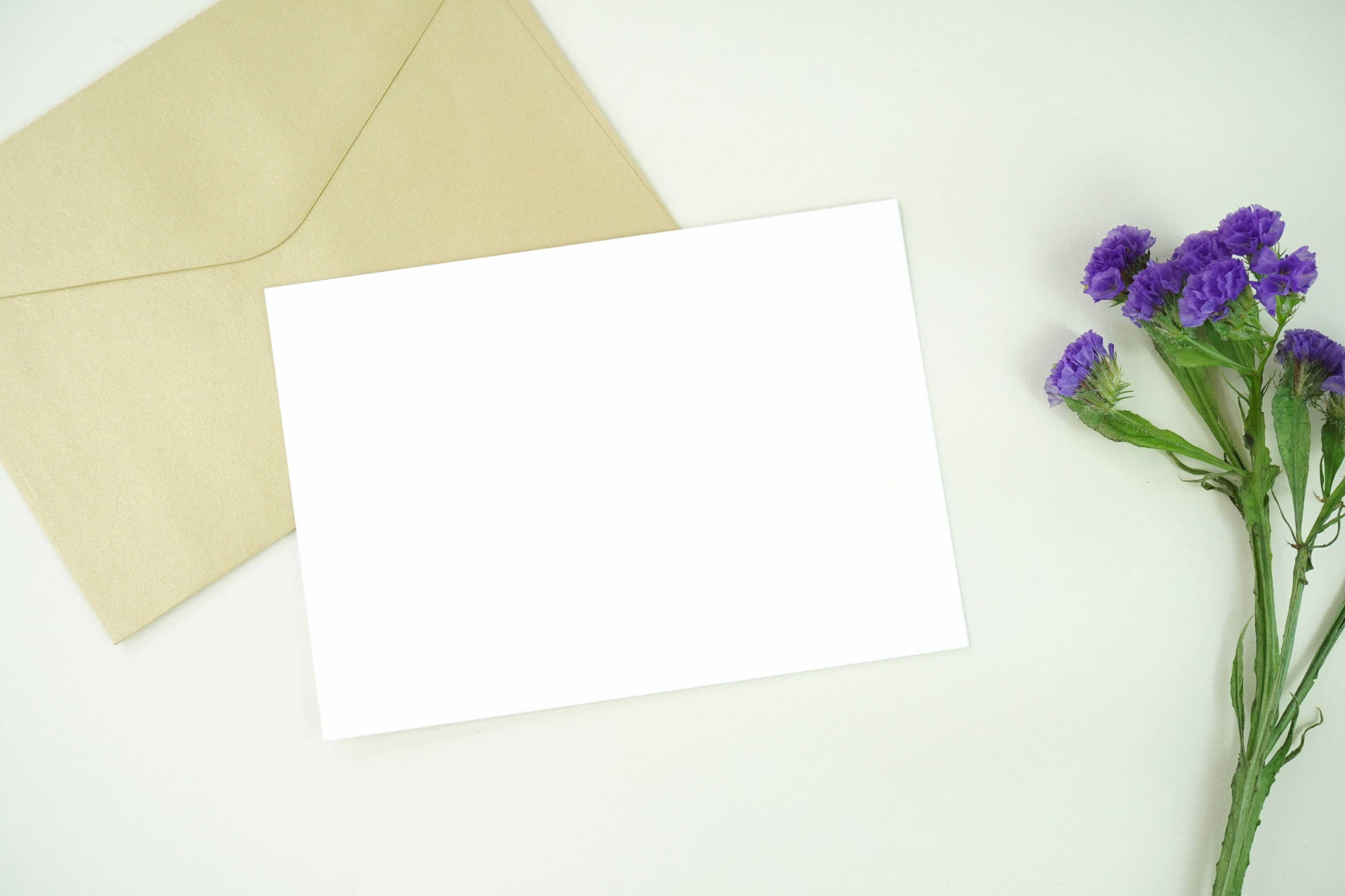 Letter being used in a direct mail campaign by real estate investor.