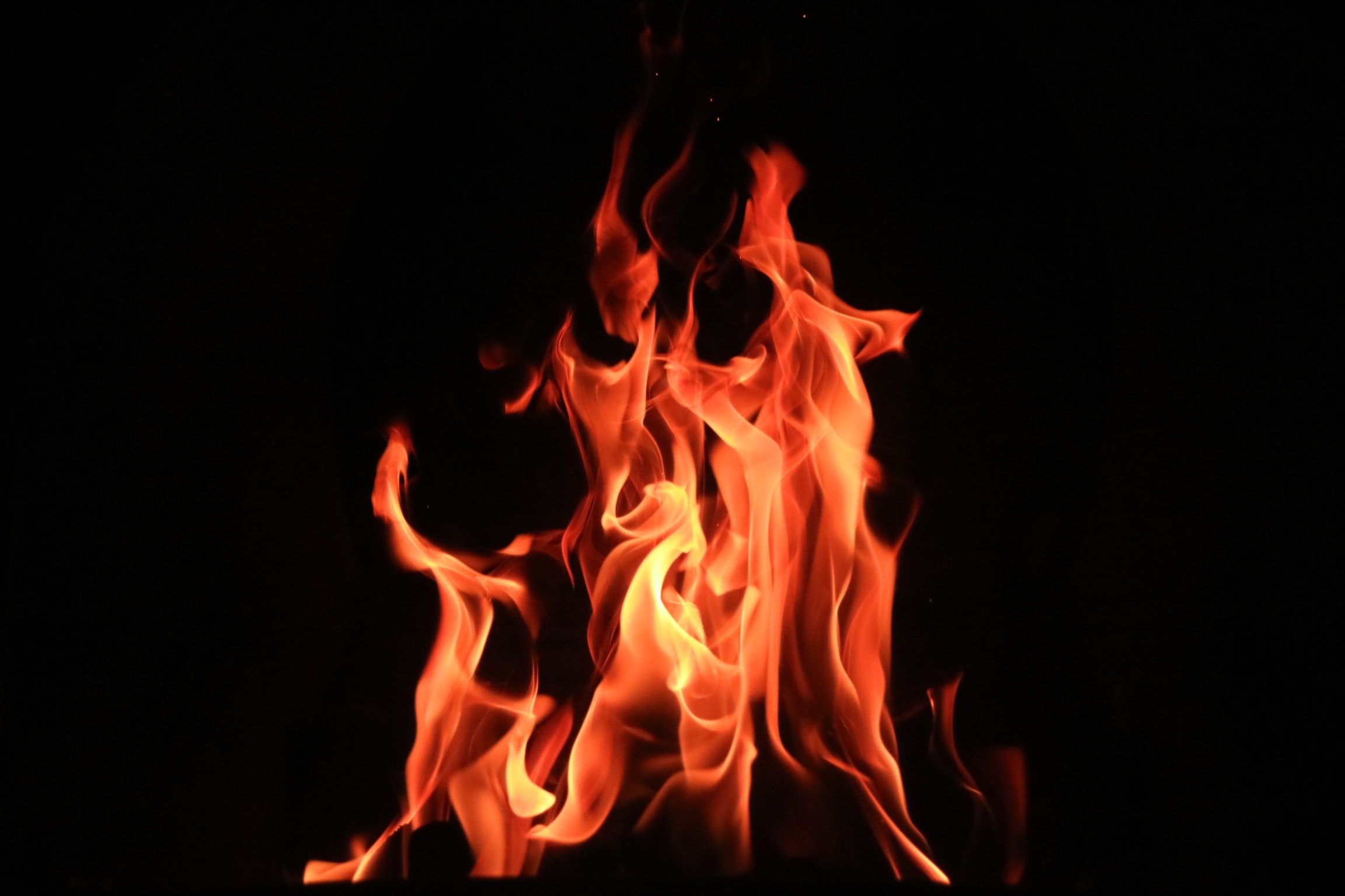 pitta represents the fire element