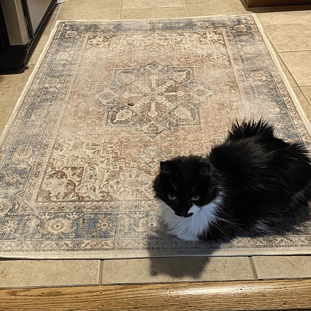 Pet Friendly Ruggable Area Rug