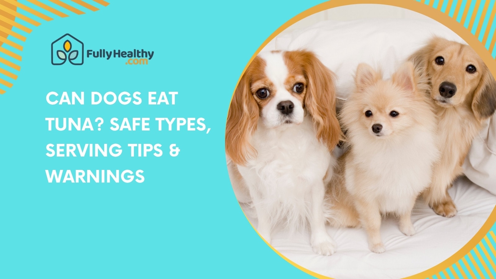 Can Dogs Eat Tuna? Safe Types, Serving Tips & Warnings
