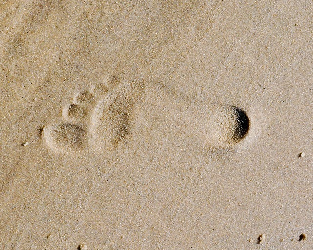 footprint, sandy, beaches