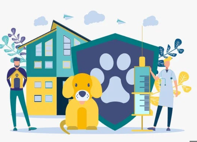 Side hustle for a veterinarian
