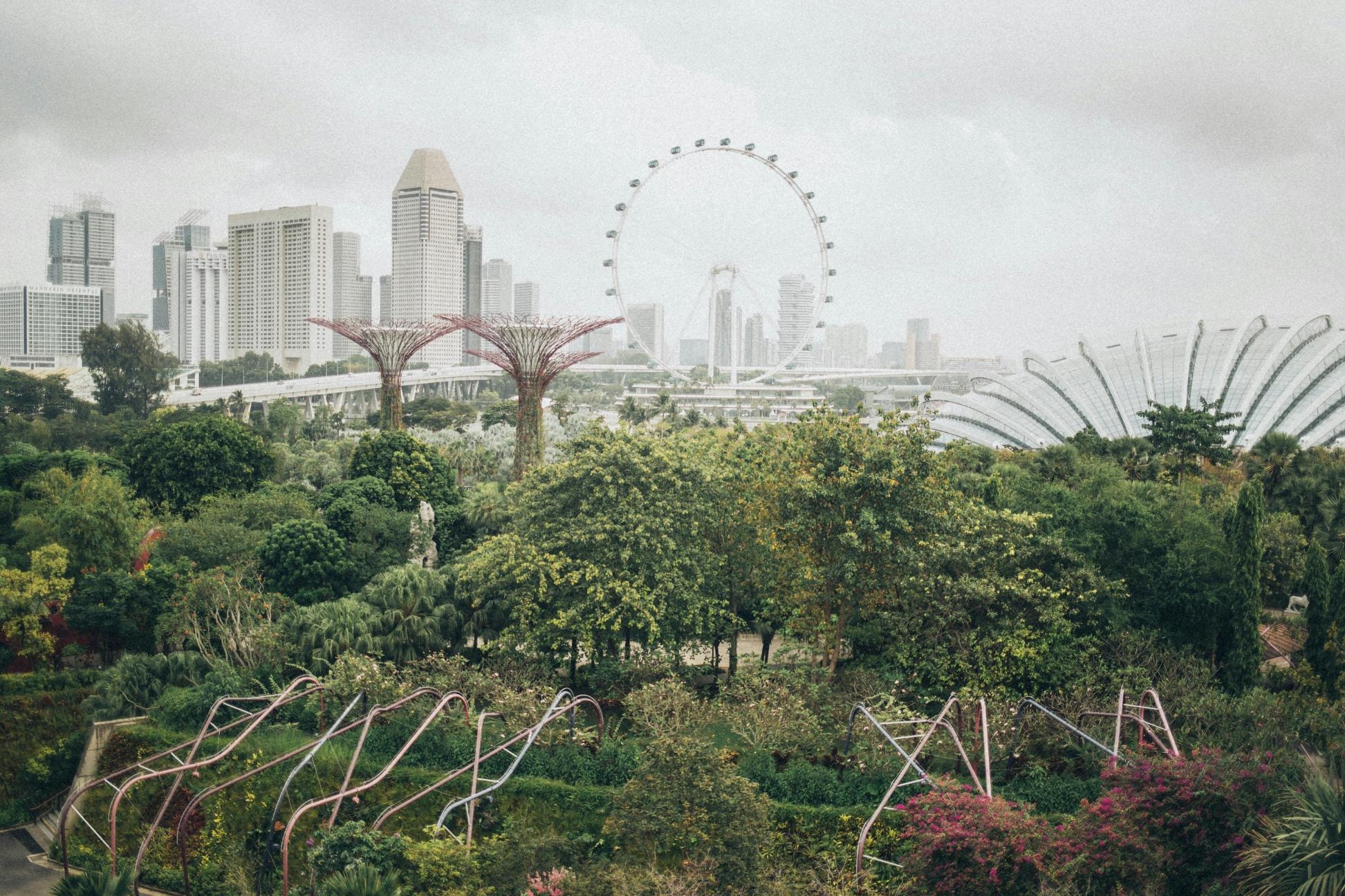 A lush, verdant landscape dominates the foreground, featuring dense treetops and distinctive, towering vertical gardens that rise above the greenery. In the background, a hazy city skyline is punctuated by a massive Ferris wheel and the curved, white architecture of large botanical domes.