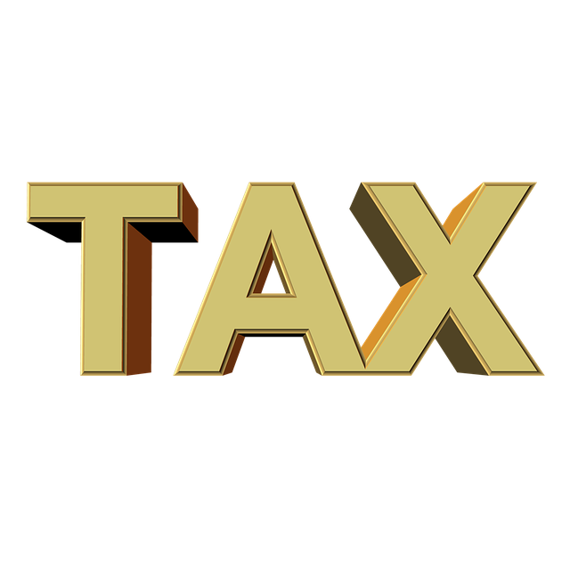 control, tax office, text, writing, 3d, income tax, tax return, finance, tax evasion, money, accounting, income, invoice, income tax, income tax, income tax, income tax, income tax, tax return, tax return, money, accounting, invoice