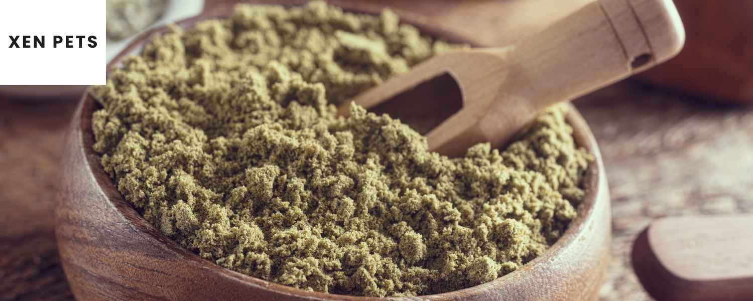 Hemp seed 2025 powder for dogs