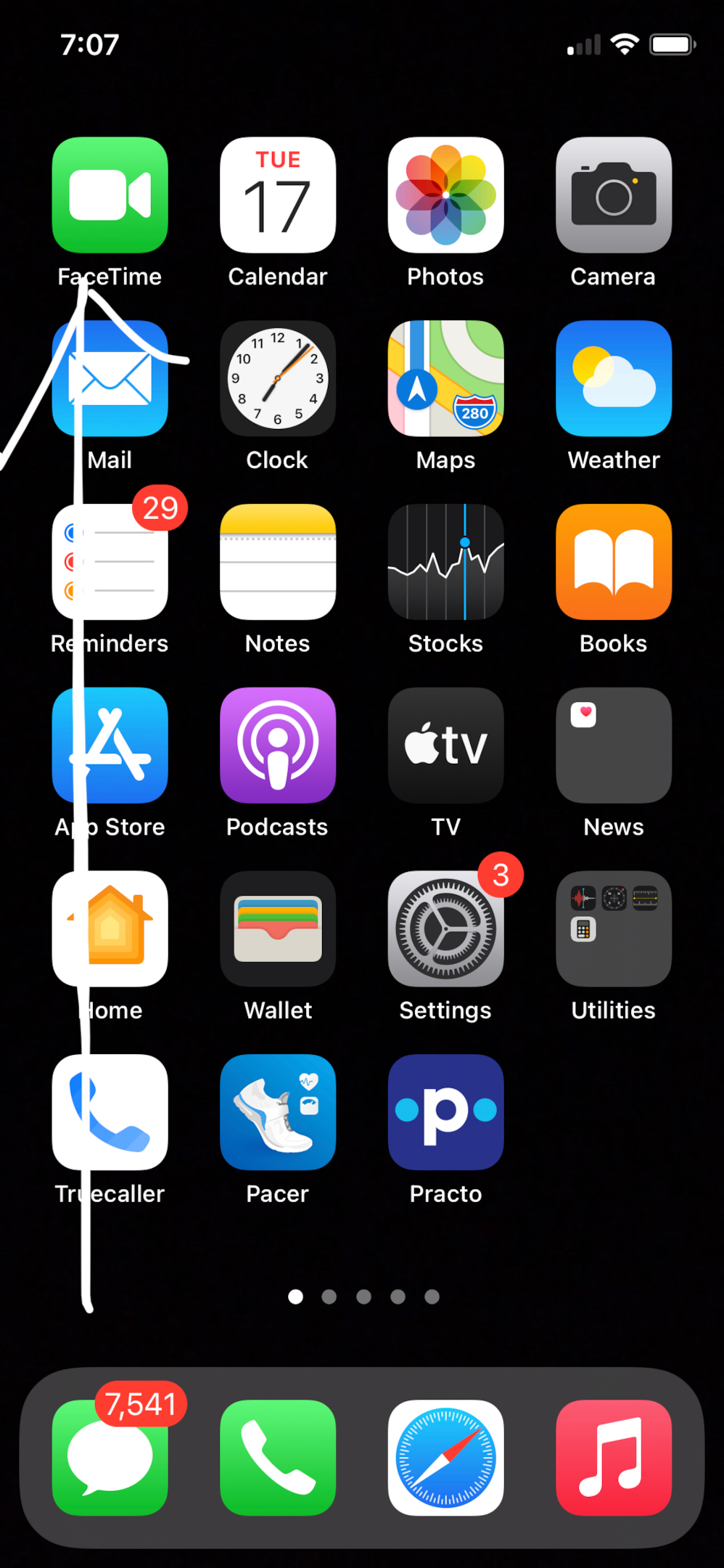 Screenshot of FaceTime app on the home screen