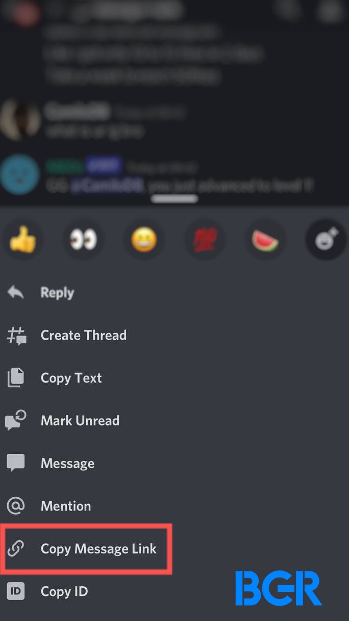 Report Discord User on Mobile: Copy Message Link.