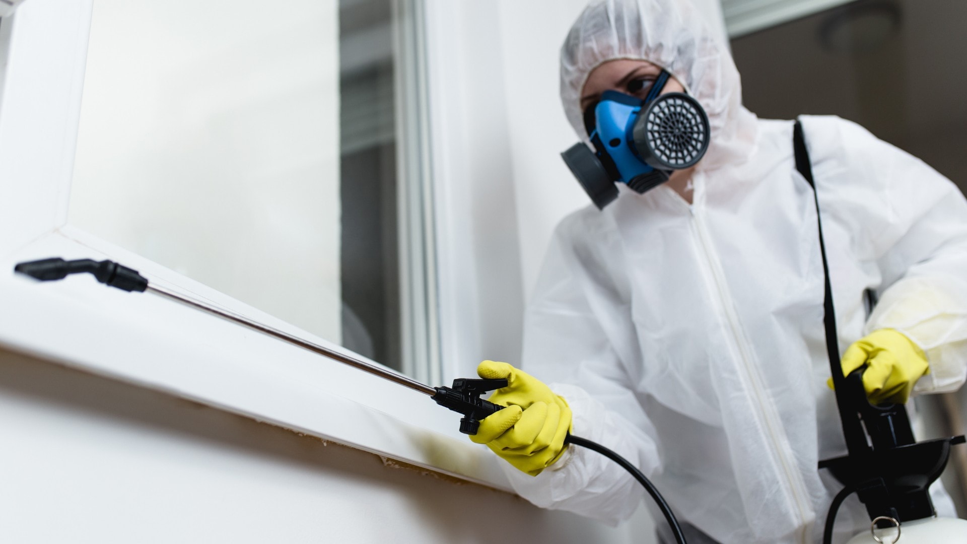 A pest control professional treating a home for cockroaches.