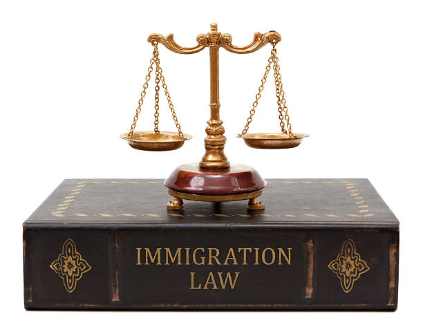 protection visa lawyers