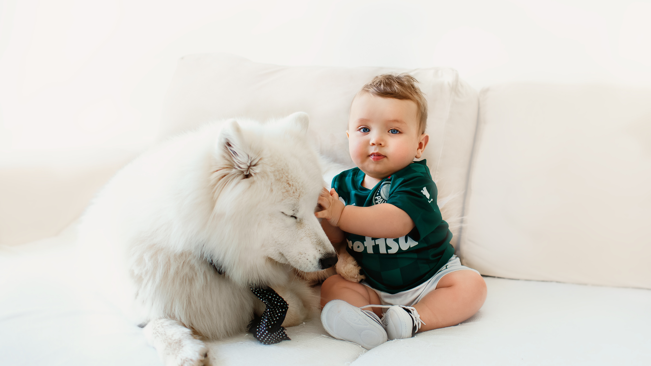 A Samoyed cuddling with a baby boy