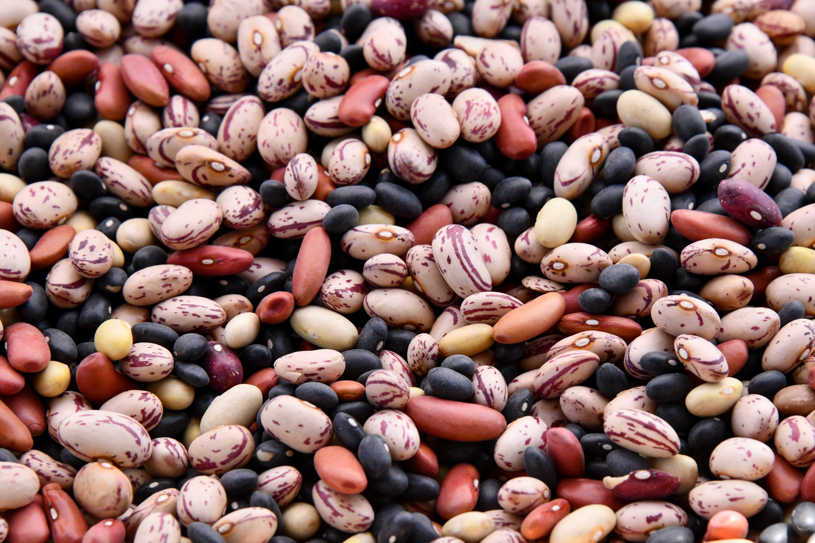 amount of fiber, sunflower seeds, cooked split peas, food with the highest fiber