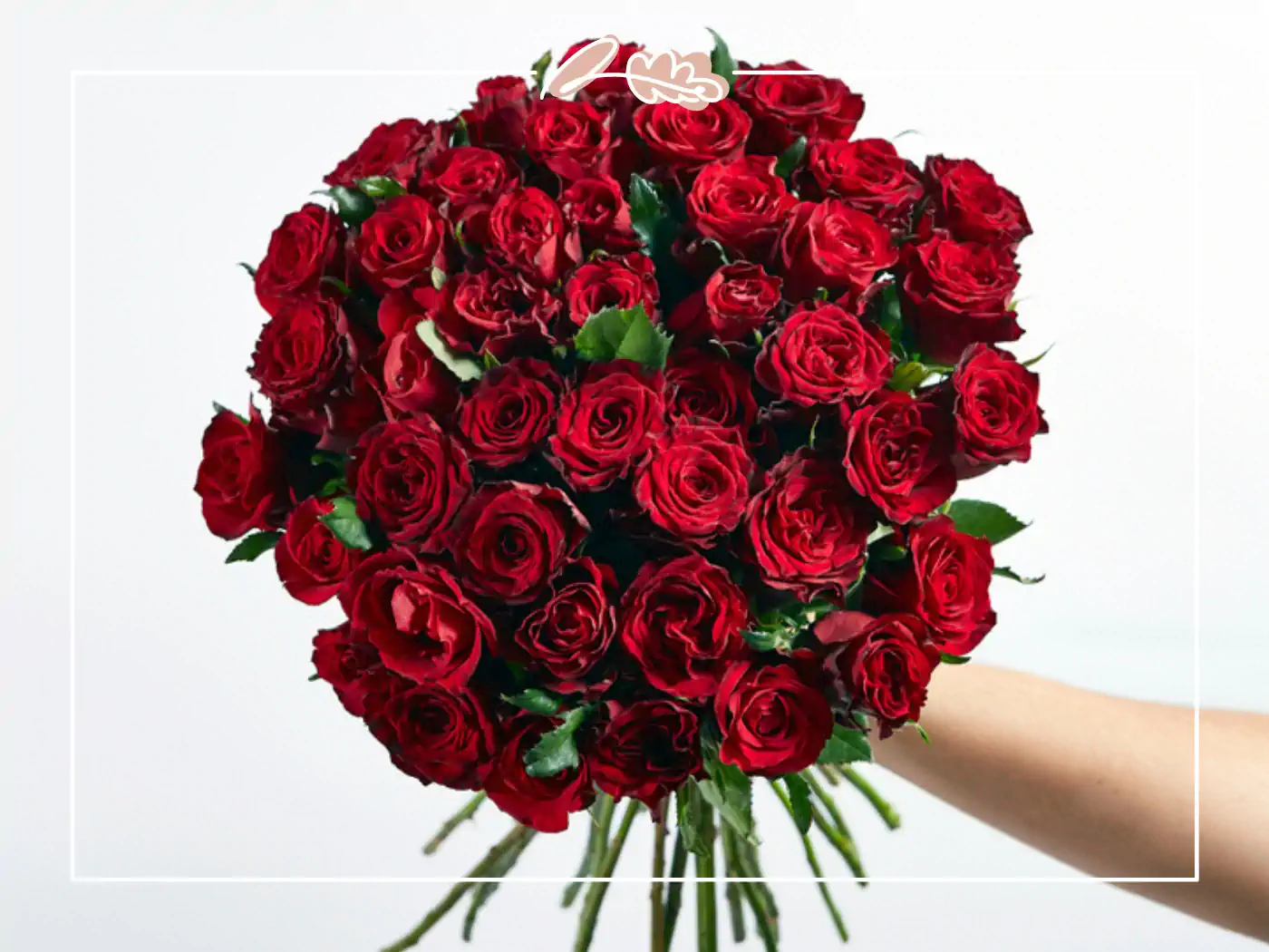 large bouquet of red roses held against a plain white background. Fabulous Flowers and Gifts