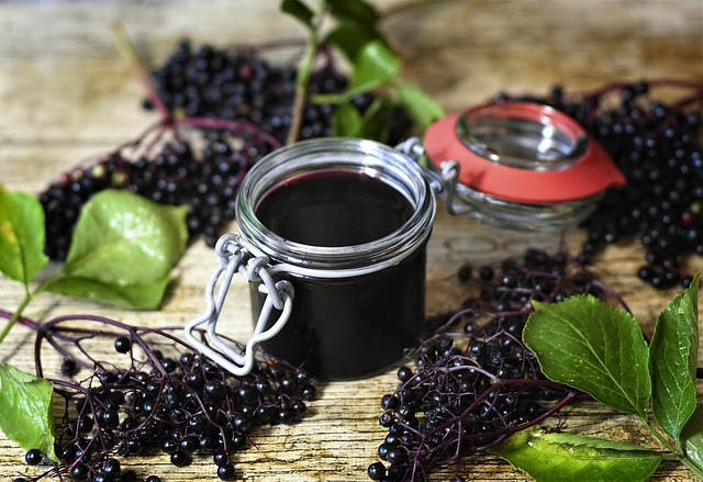 Elderberry extracts