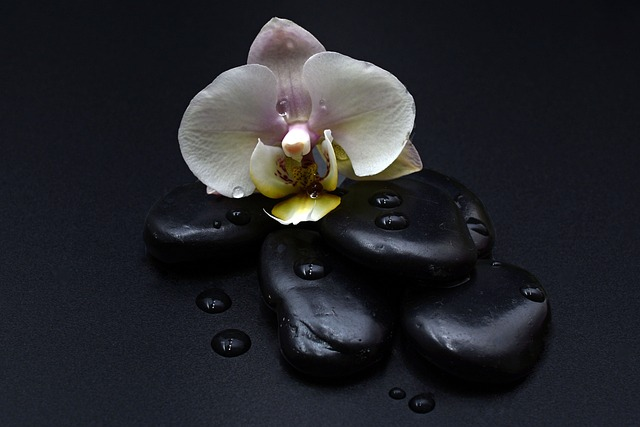 stones, black, orchid