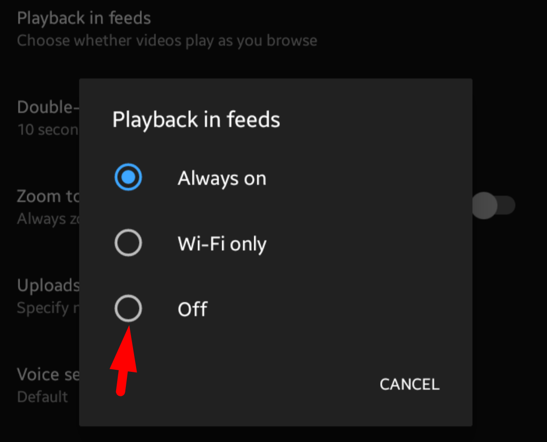 Playback in feeds options