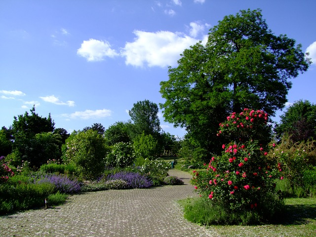 botanical garden, dusseldorf, garden
