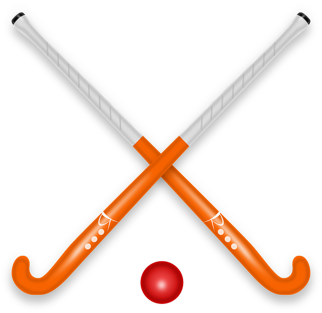 hockey stick, hockey, shinny