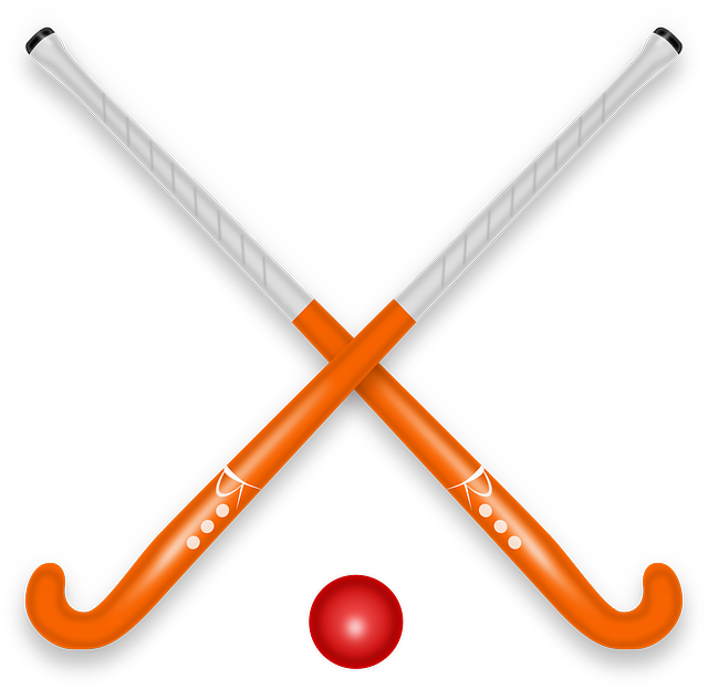 Goated team names #fantasyhockey #nhl #nhledits #hockey #hockeyedits, Hockey