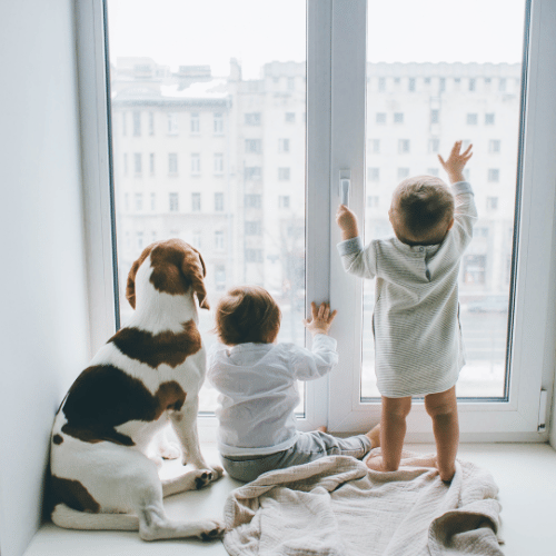 children behind a window