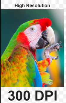 File Prep: Resolution, Background Removal, Preferred Formats