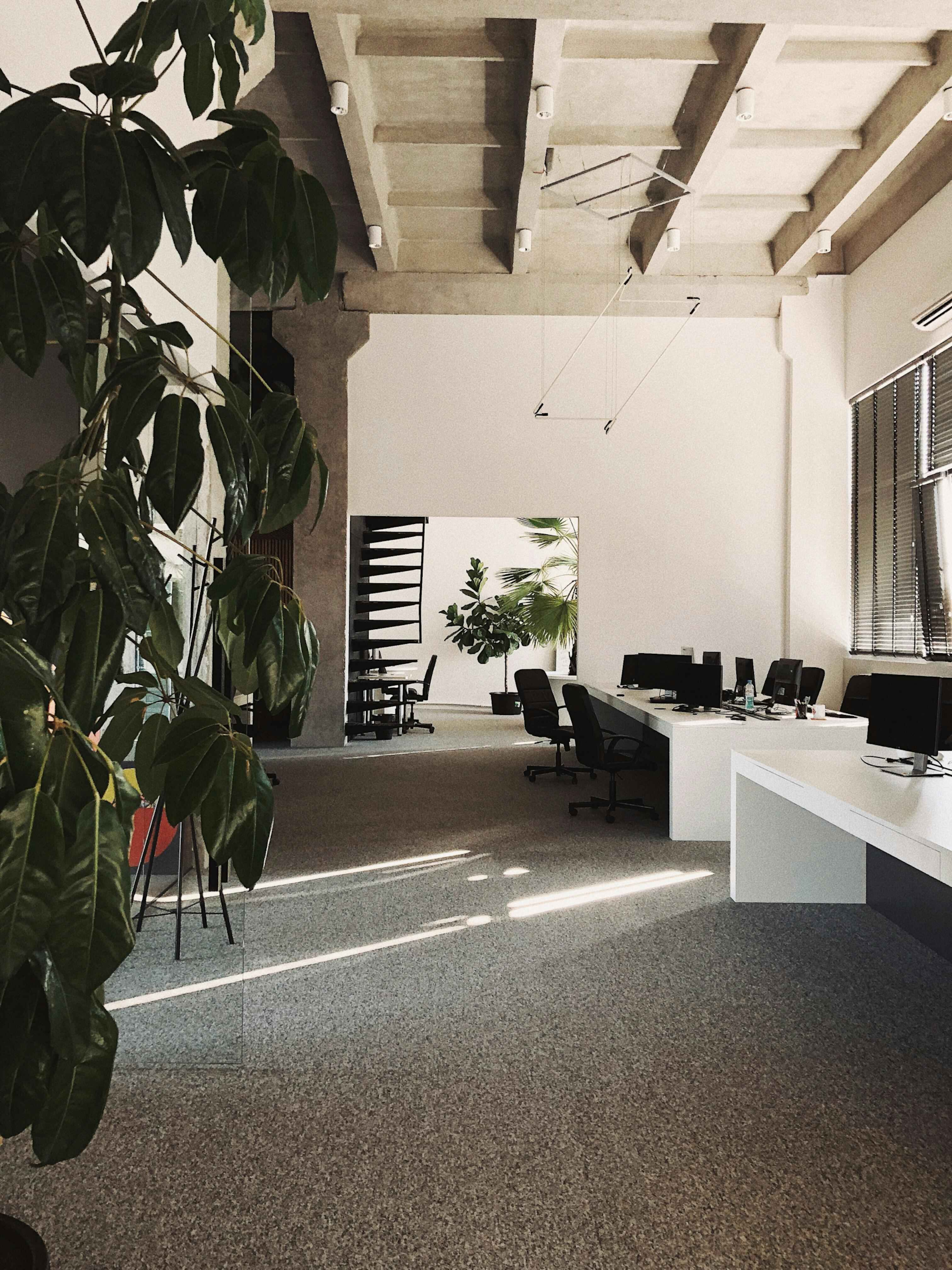 Natural light and including plants in the design of an office can promote wellbeing.