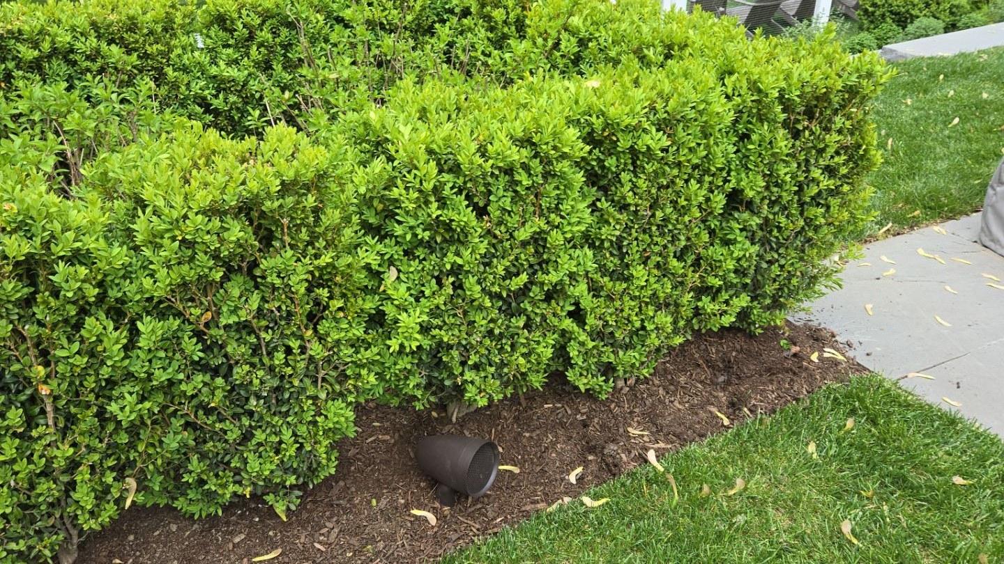 A landscape speaker set in the mulch line beneath a trimmed hedge, beside a lawn and stone walkway.