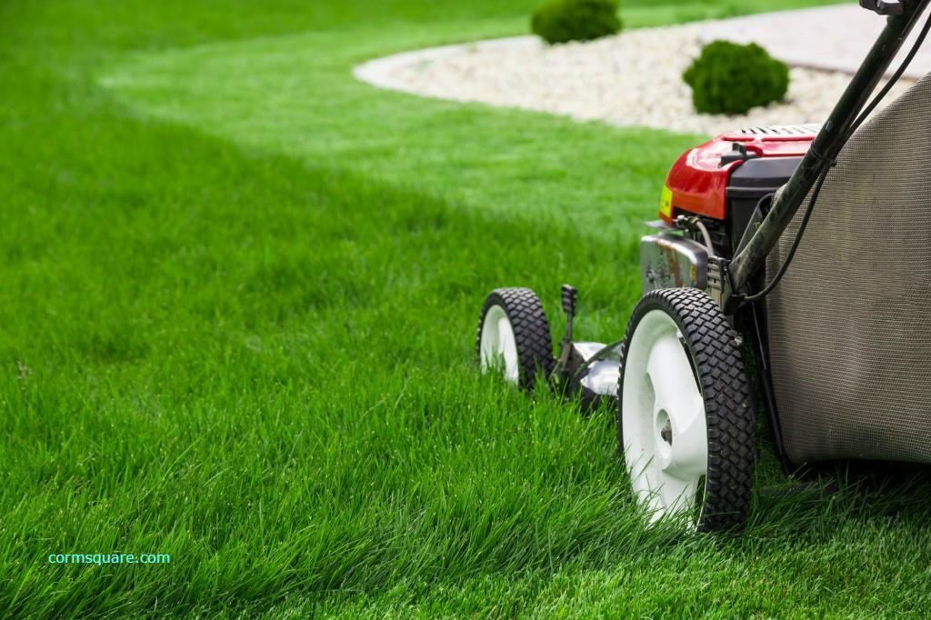 Offer Lawn Care Services