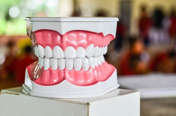 denture tooth