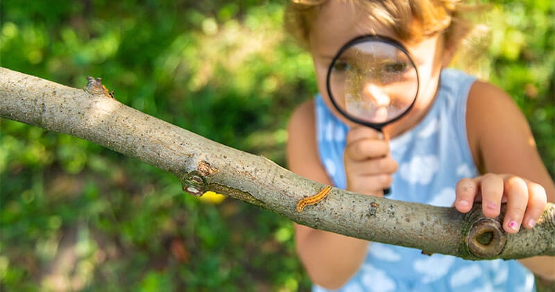 When we slow down and observe carefully, clarity reveals what speed hides.